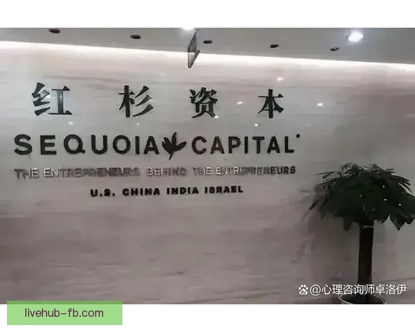 FB体育平台全新体验，让您尽享即时赛事资讯与互动乐趣